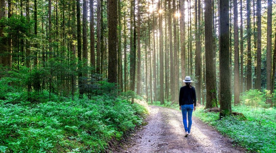 femme promenade forêt