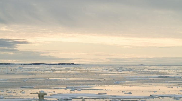 Arctique : record absolu de chaleur dans le Svalbard norvégien