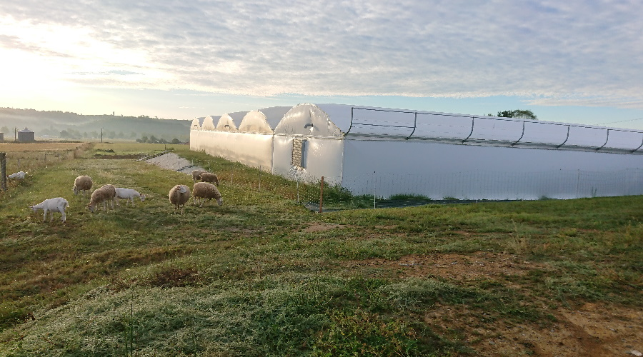 ferme aquaponique