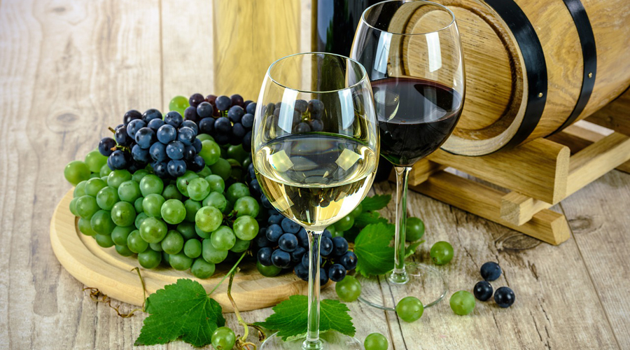 Vin bio, vin naturel et sans sulfites