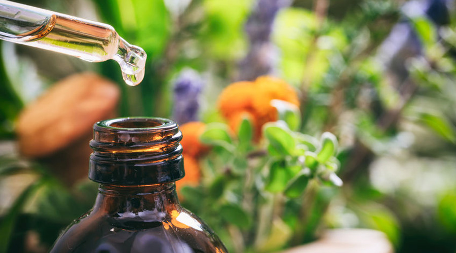 Quelles huiles essentielles utiliser au jardin ? | Bio à la une