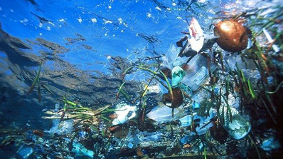 des plastiques dans l'océan