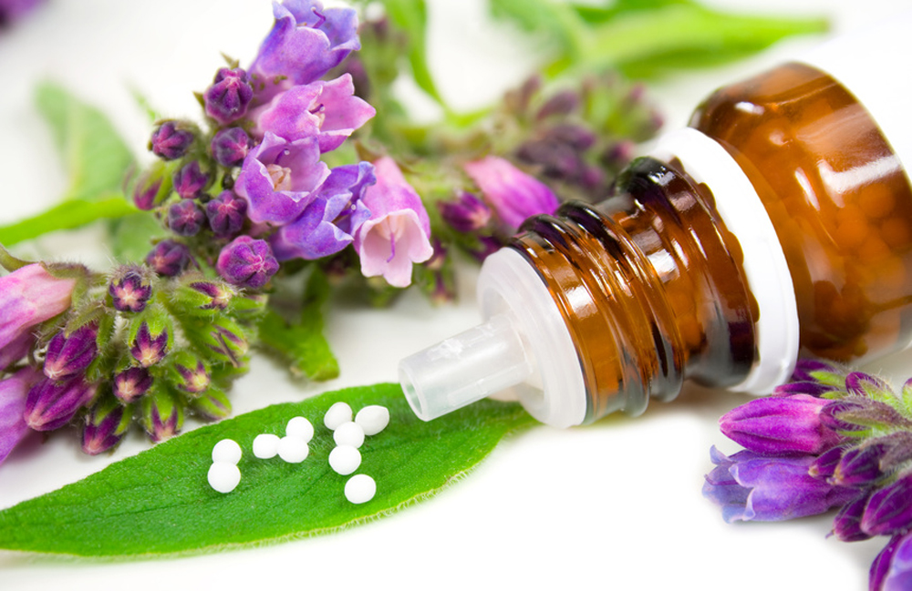Phytothérapie  se soigner par les plantes  Bio à la une