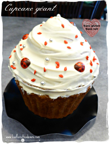 Www Bioalaune Com Img Recette 239 Cupcake Gc3a9ant Jpg Www Bioalaune Com Img Recette 239 Cupcake Gc3a9ant Jpg