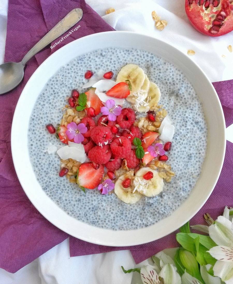 Pudding aux graines de Chia et au lait de Coco Ecomil