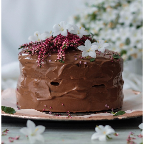 Gâteau tout choco vegan