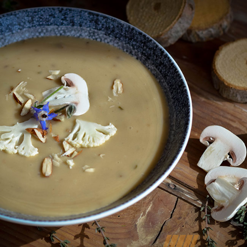 Soupe crème dubarry chou-fleur et champignons