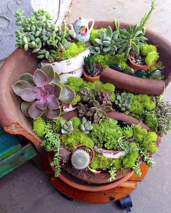 DIY : 10 idées de créations originales pour vos succulentes et