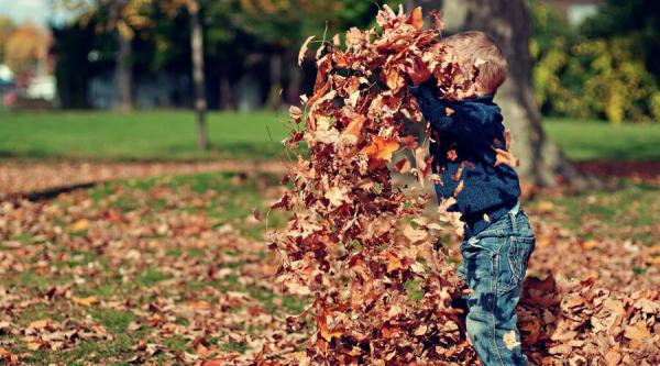 Qui aller voir pour un TDAH chez l'enfant ?