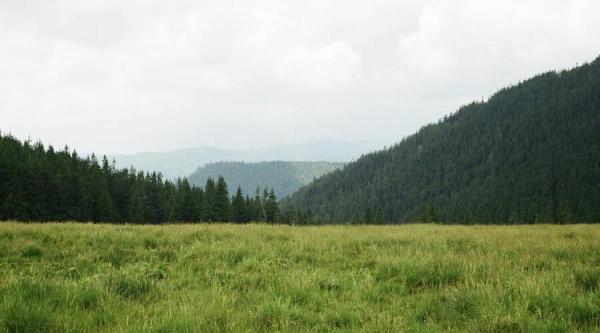 Comment prendre du temps en nature contre le stress ?