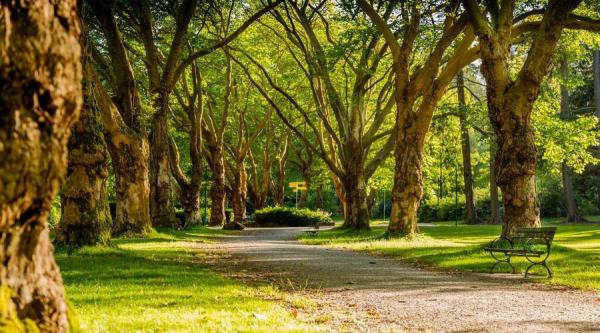 Prendre une pause dans un parc contre le stress