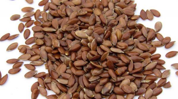 Quels sont les différentes graines de lin ?