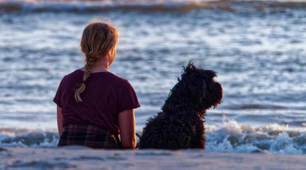 À quel âge un enfant peut-il avoir un chien ?