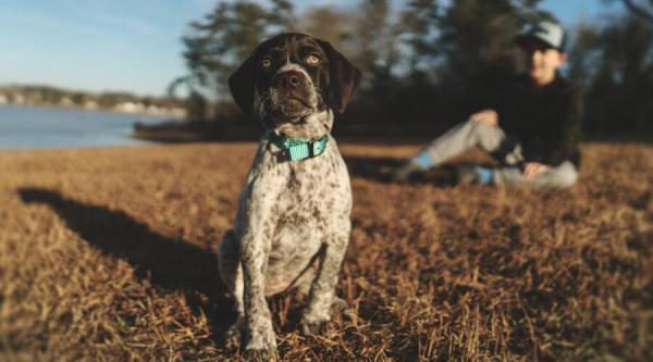 Faut-il mieux adopter un chiot avec un enfant ?