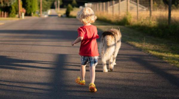 Quel race de chien adopter avec un enfant ?