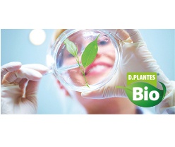 Les plantes Bio