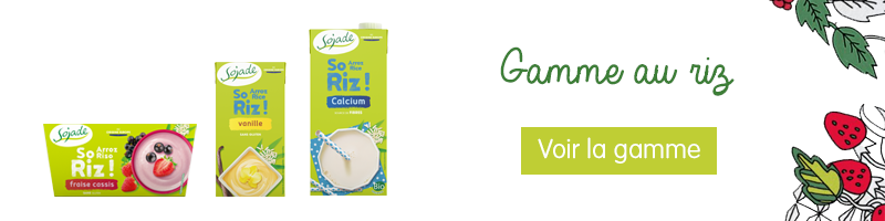 Gamme au riz