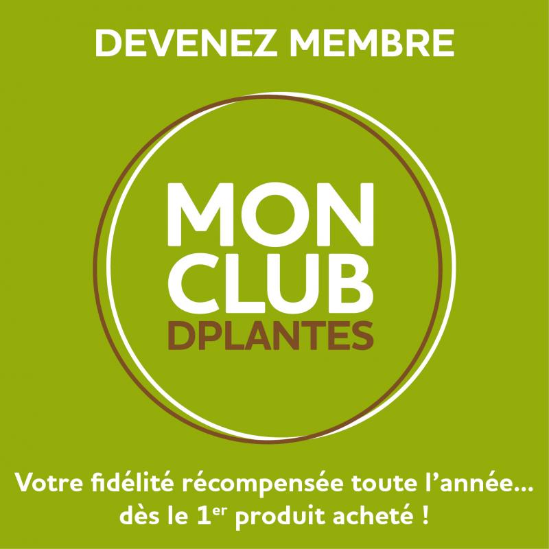 Club D.Plantes, la carte