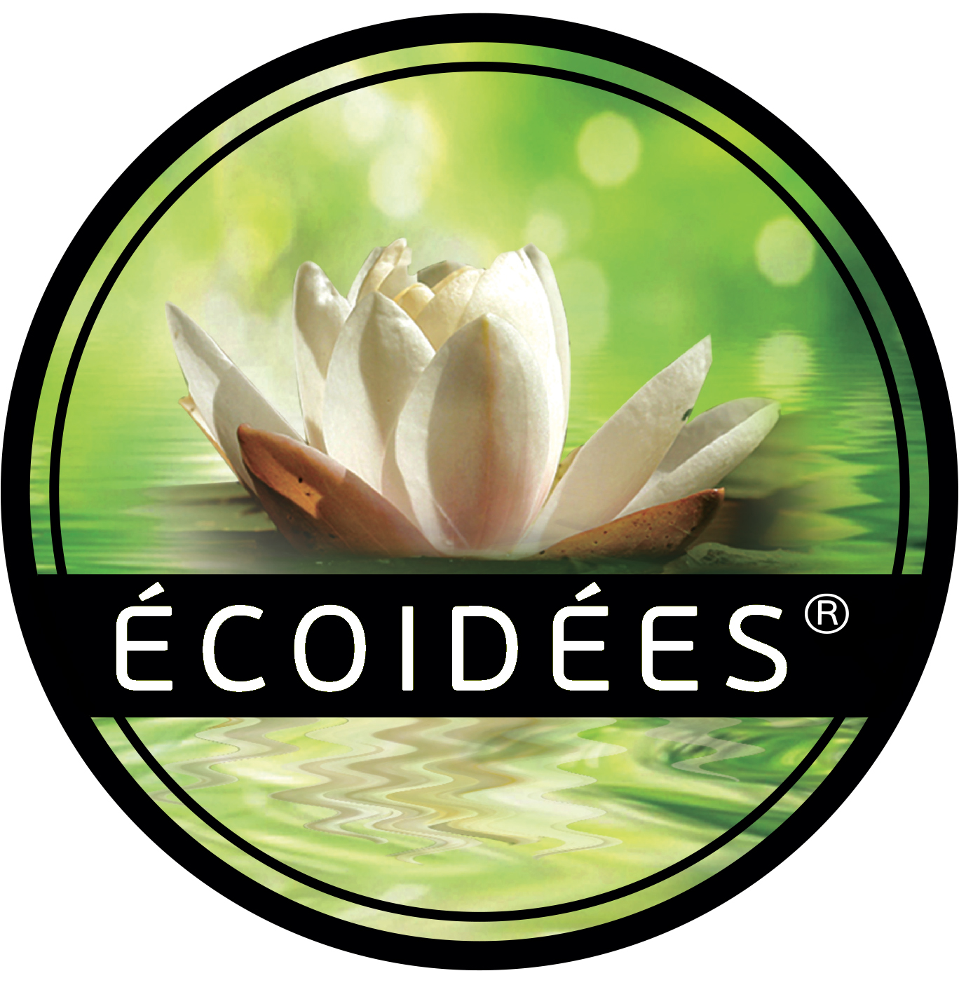 Ecoidees