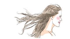 illustration femme illustration femme